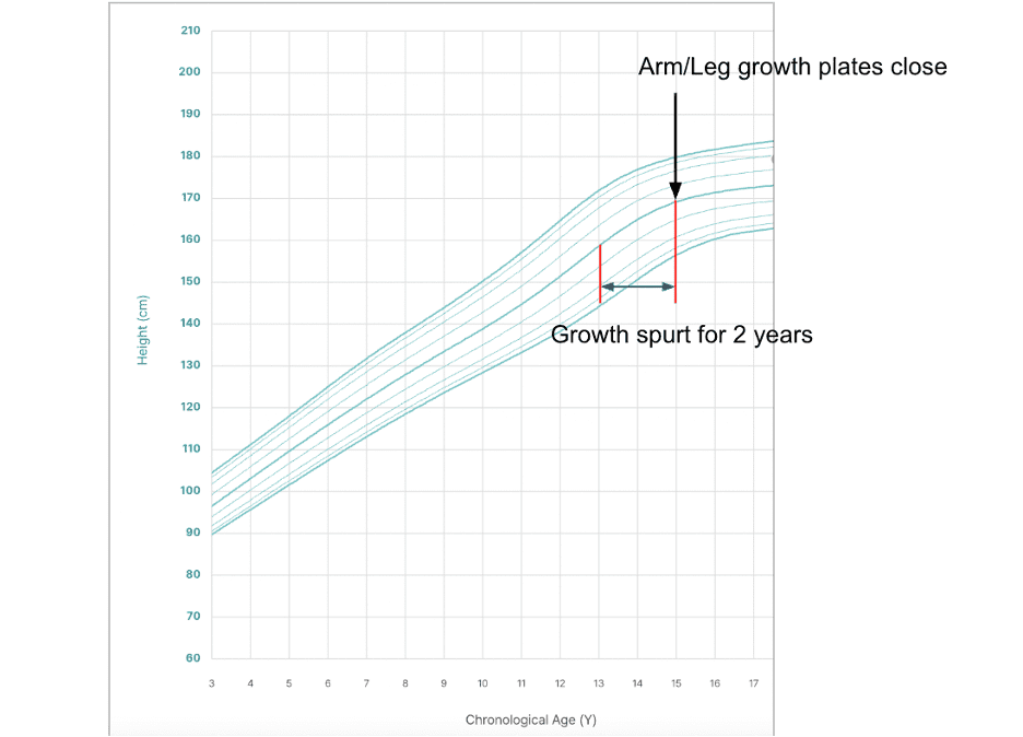 A pediatric growth velocity chart showing a single patient's height gain over time, with a visible slowdown in the second phase of the growth spurt indicating the growth window is beginning to close.