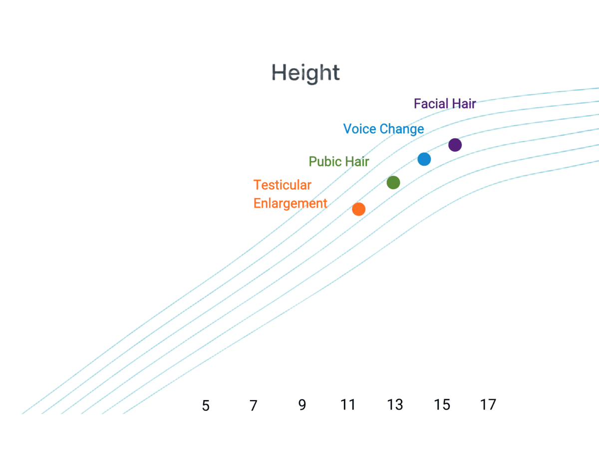Pediatric growth velocity chart showing how early puberty and sex hormones act as a fast-forward button on growth plate fusion.