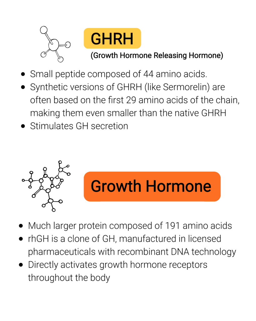 Diagram comparing GHRH growth hormone releasing peptides composed of 44 amino acids with pharmaceutical-grade recombinant human growth hormone composed of 191 amino acids, showing how peptides only stimulate GH secretion while rhGH directly activates growth hormone receptors throughout the body, at I Grow Clinic.