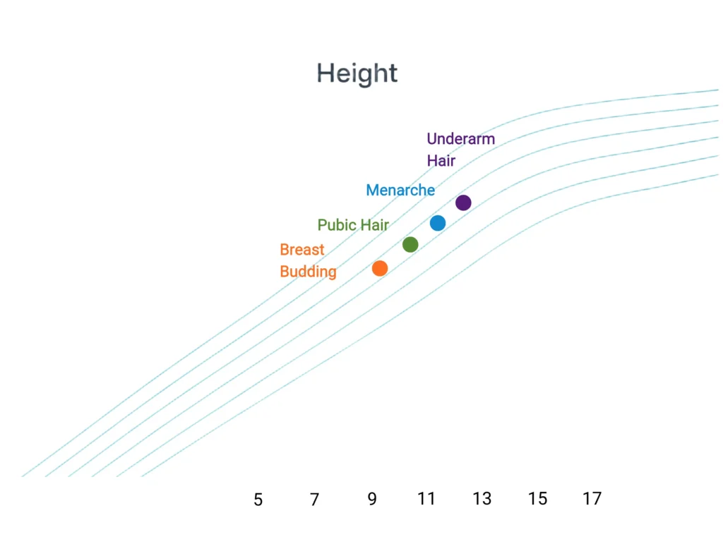 A height growth chart for girls showing the timing of puberty milestones including breast budding, pubic hair, menarche, and underarm hair overlaid on height percentile curves.