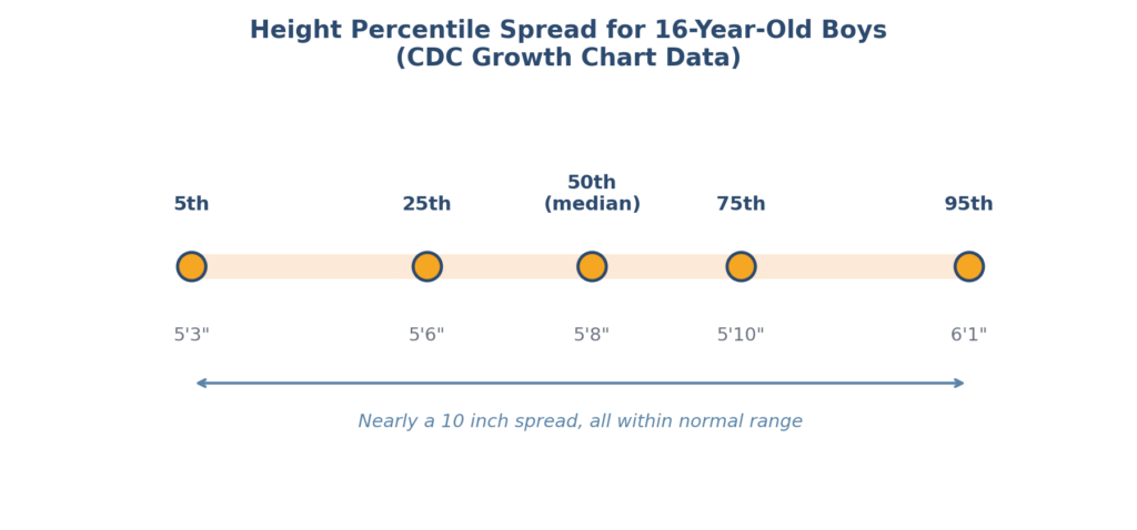 CDC height percentile chart showing the range for 16-year-old boys from 5th to 95th percentile. CDC height percentile chart showing the range for 16-year-old boys from 5th to 95th percentile.